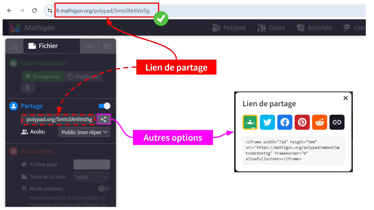 Copie d'écran des options de partage.