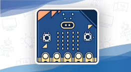 Image de cours - Micro:bit