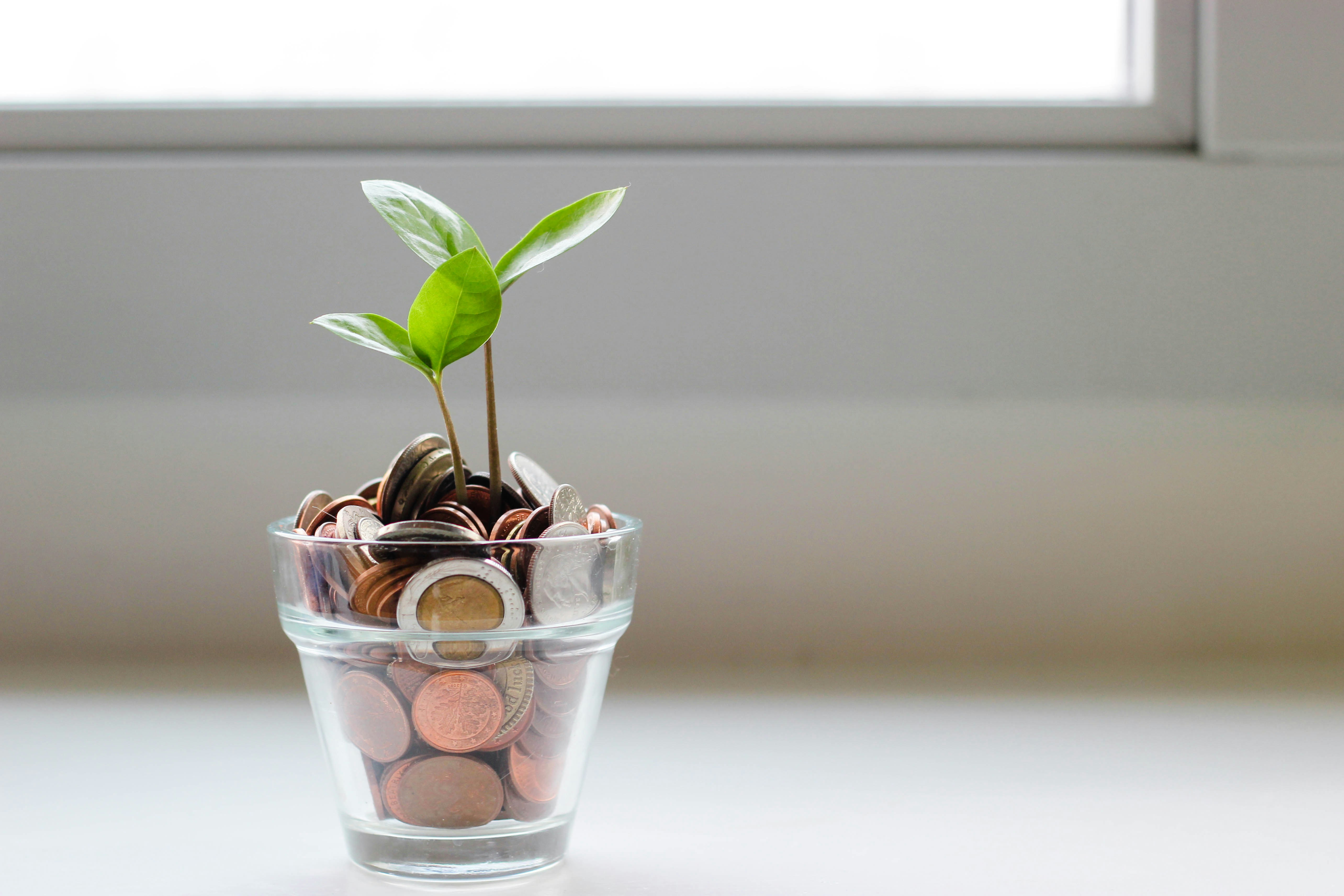 Image de cours - Intégrer la littératie financière et le tableur en mathématique