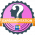 Expérimentation - Questionnaires interactifs
