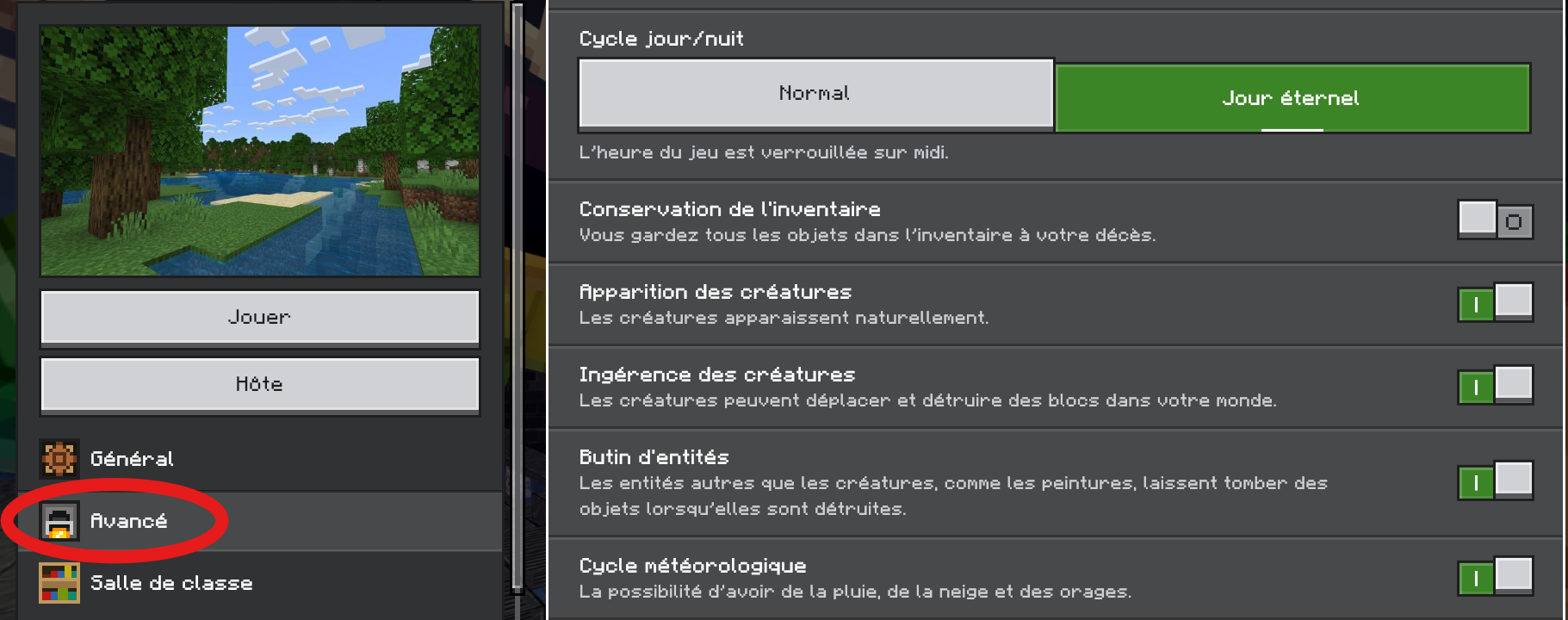 Aperçu du menu Avancé.